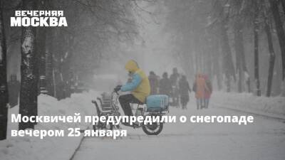 Москвичей предупредили о снегопаде вечером 25 января