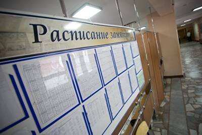 В Челябинской области за сутки коронавирус выявили у 141 школьника