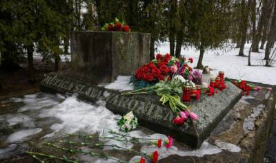 Почему дело о разрушении памятника советским воинам в Латвии не спустили на тормозах
