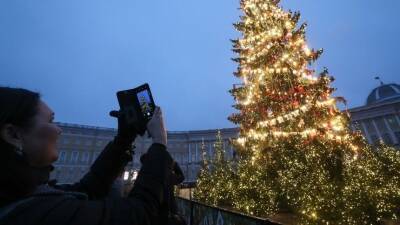 Новогоднюю елку демонтировали на Дворцовой площади в Петербурге