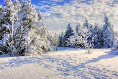 В Татарстане до конца недели сохранится морозная погода