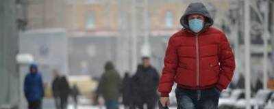 Член ОП Ленобласти Владимир Петров предложил освободить простуженных от работы на три дня