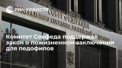 Комитет Совфеда по соцполитике поддержал закон о пожизненном заключении для педофилов - ria.ru - Москва - Россия