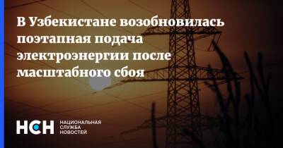 В Узбекистане возобновилась поэтапная подача электроэнергии после масштабного сбоя