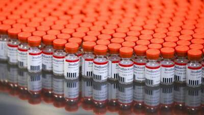 СМИ сообщили о приостановке Минздравом закупки вакцины «ЭпиВакКорона»