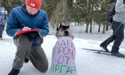 Петрозаводчане собирают подписи в защиту Кургана