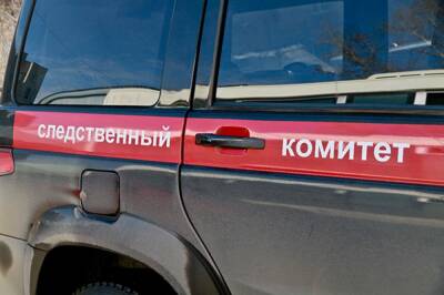 СКР возбудил дело о гибели женщины в проруби в Ленинградской области