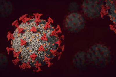 401 человек заразился коронавирусом в Тульской области за сутки