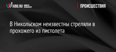 В Никольском неизвестные стреляли в прохожего из пистолета - ivbg.ru - Украина - район Тосненский - Ленобласть