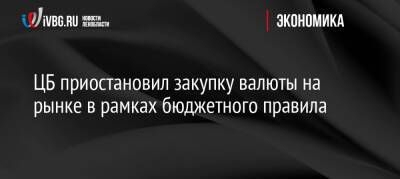 ЦБ приостановил закупку валюты на рынке в рамках бюджетного правила