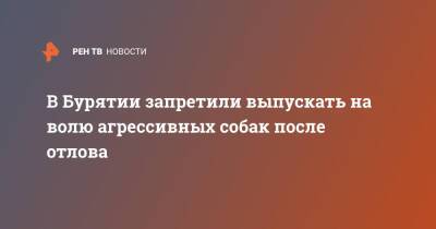 В Бурятии запретили выпускать на волю агрессивных собак после отлова