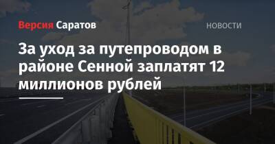 За уход за путепроводом в районе Сенной заплатят 12 миллионов рублей