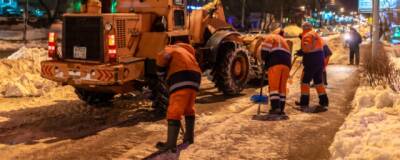 Смольный: жилищные организации не справились с уборкой тротуаров в центре Петербурга