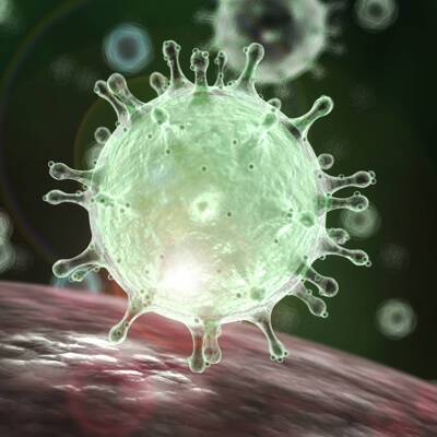 Мутаций коронавируса будет становиться всё больше, но его опасность уменьшается