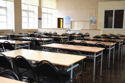 Все школы Смоленска уходят на недельный карантин из-за вируса с 26 января