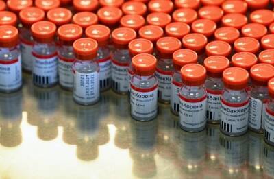 Иммунолог связал приостановку закупки «ЭпиВакКороны» с отсутствием информации о вакцине