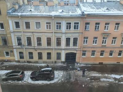 В Петербурге упавшей с крыши ледяной глыбой убило собаку