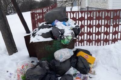 После жалоб кирсановцев в соцсетях мусор убрали на нескольких улицах города