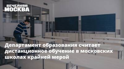 Департамент образования считает дистанционное обучение в московских школах крайней мерой