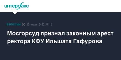 Мосгорсуд признал законным арест ректора КФУ Ильшата Гафурова