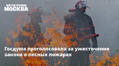 Госдума проголосовала за ужесточение закона о лесных пожарах