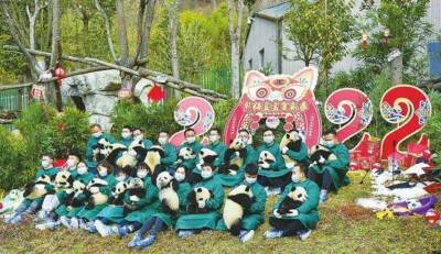 В Китае к лунному Новому году показали шоу с участием 20 детенышей панд