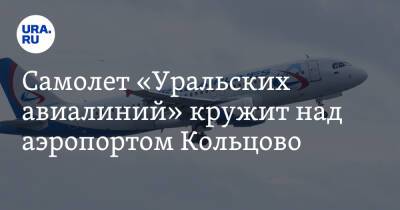 Самолет «Уральских авиалиний» кружит над аэропортом Кольцово. Скрин