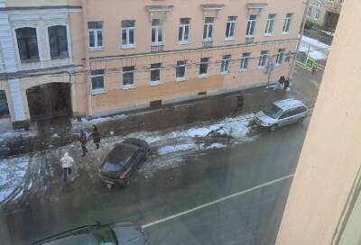 Упавшая с крыши ледяная глыба в Петербурге убила собаку