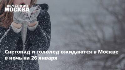 Снегопад и гололед ожидаются в Москве в ночь на 26 января
