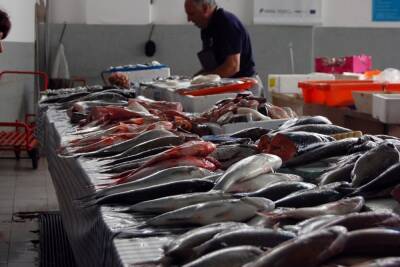 Предприниматели из Луганска оштрафованы за торговлю рыбой