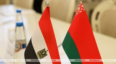 Египет заинтересован в участии Беларуси в социально-экономических проектах