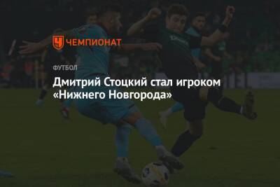 Дмитрий Стоцкий стал игроком «Нижнего Новгорода»