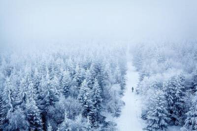 26 января в Смоленской области будет скользко, снежно и туманно