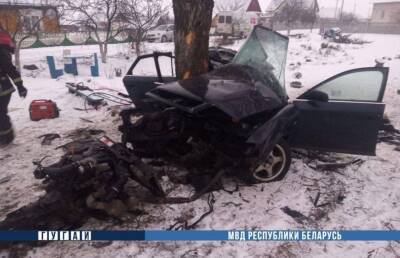 Серьезное ДТП в Лунинецком районе: машина съехала в кювет и врезалась в дерево, есть погибший - ont.by - Белоруссия - район Лунинецкий