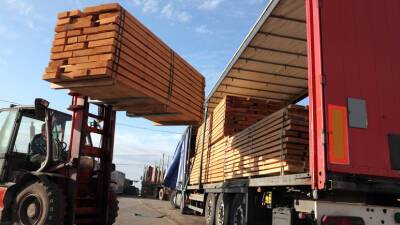 В ЕП предложили сократить экспорт европейской древесины