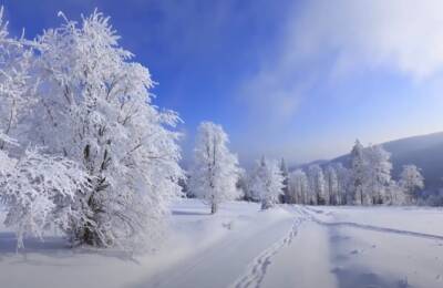Одевайте варежки и берите лопаты: Укргидрометцентр предупредил — сегодня Украину накроет морозный и снежный циклон