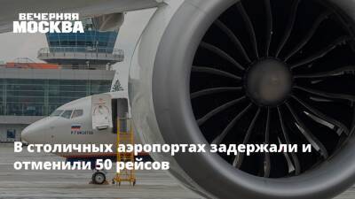 В столичных аэропортах задержали и отменили 50 рейсов - vm.ru - Москва - Таиланд - Стамбул - Москва