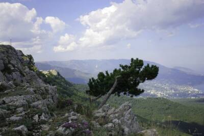 Воинские части Крыма подняли по тревоге