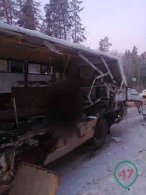 Стали известны подробности смертельной аварии в районе порта Усть-Луга, погибла пассажирка рейсового автобуса