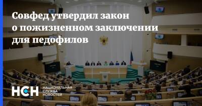 Совфед утвердил закон о пожизненном заключении для педофилов - nsn.fm - Россия