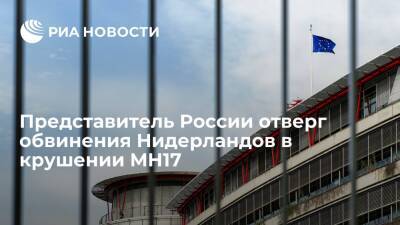 Представитель в ЕСПЧ: Россия непричастна к крушению Boeing MH17 в 2014 году