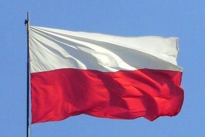Замглавы МИД Польши призвал Германию официально отказаться от «Северного потока-2»