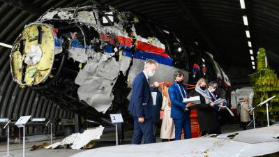 Представитель России при ЕСПЧ: за небом в районе крушения MH17 следили диспетчеры Украины