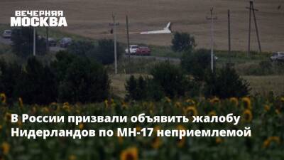 В России призвали объявить жалобу Нидерландов по MH-17 неприемлемой