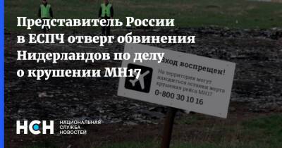Представитель России в ЕСПЧ отверг обвинения Нидерландов по делу о крушении MH17