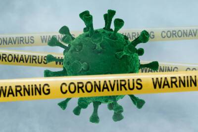 В Новгородской области коронавирусом заболели еще 330 человек