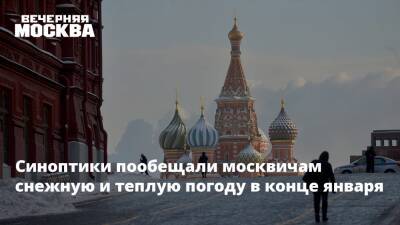 Синоптики пообещали москвичам снежную и теплую погоду в конце января