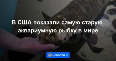 Анна Лысенко - В США показали самую старую аквариумную рыбку в мире - news.mail.ru - США - Австралия - Сан-Франциско - шт. Калифорния