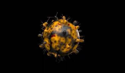 Статистика: две трети людей, заразившихся "Омикроном", уже болели коронавирусом
