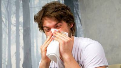 «Хронических заболеваний не избежать»: чем опасна домашняя пыль?